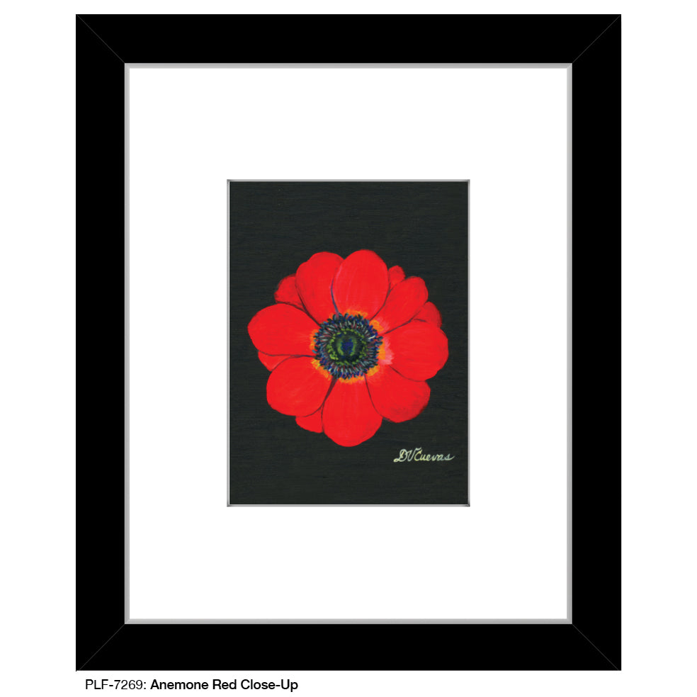 Anemone Red Close-Up, Print (#7269A)