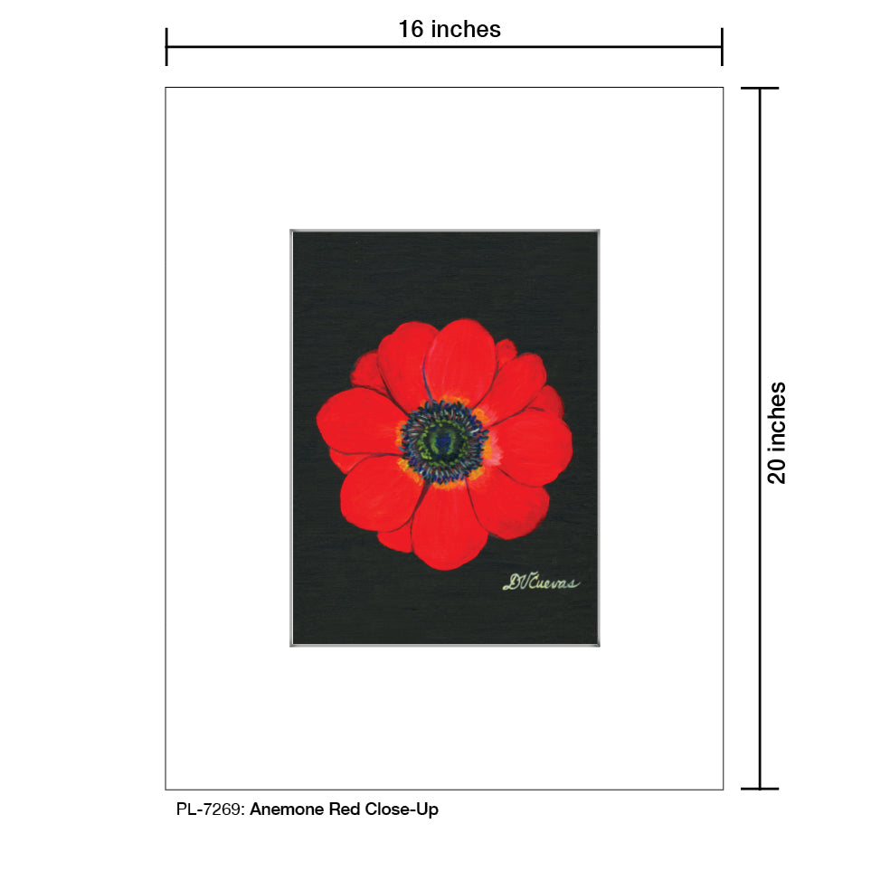 Anemone Red Close-Up, Print (#7269A)