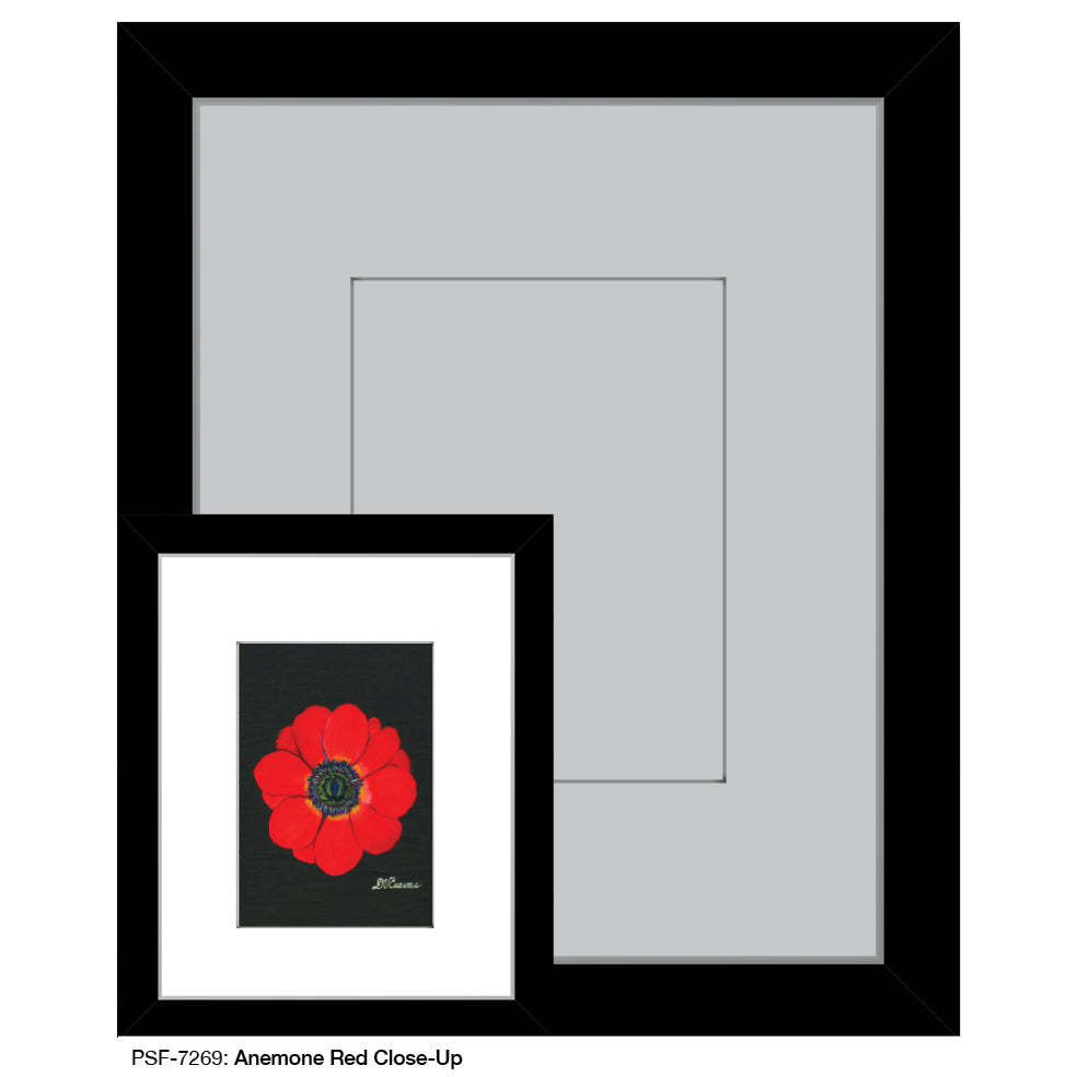 Anemone Red Close-Up, Print (#7269A)