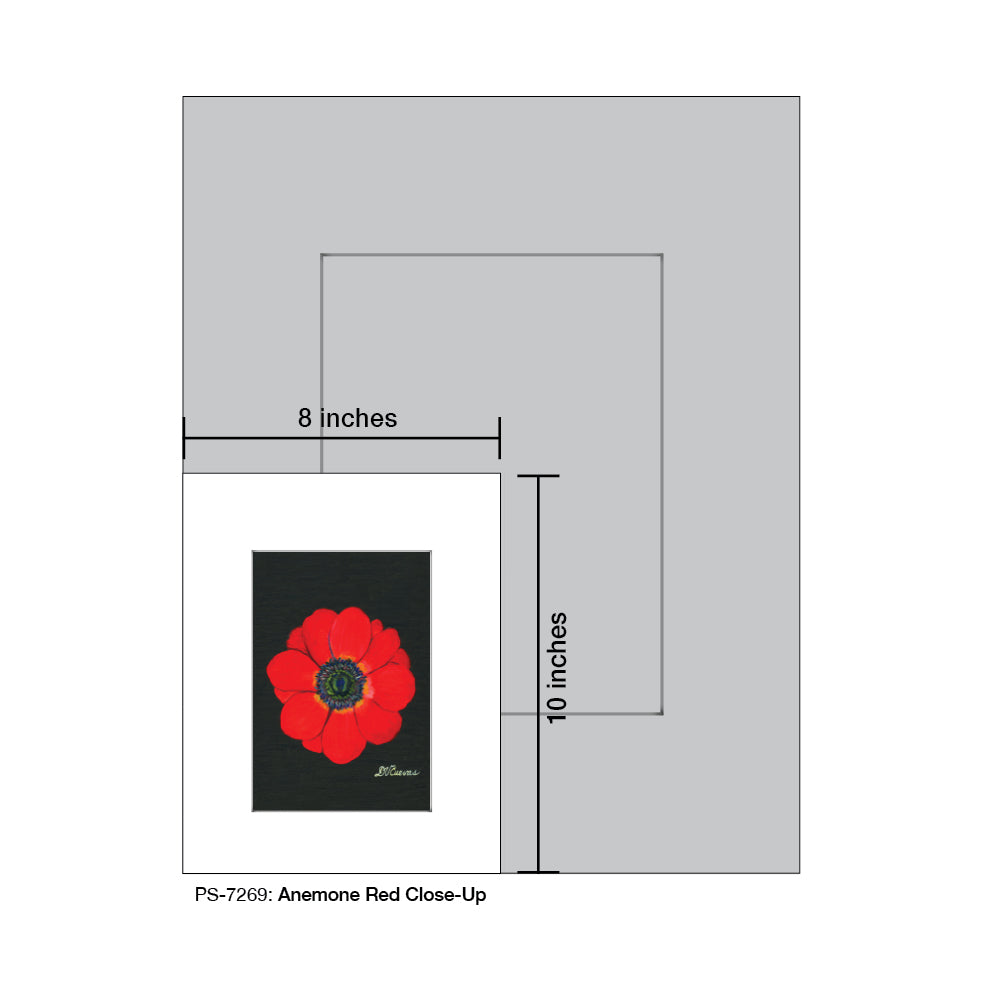 Anemone Red Close-Up, Print (#7269A)