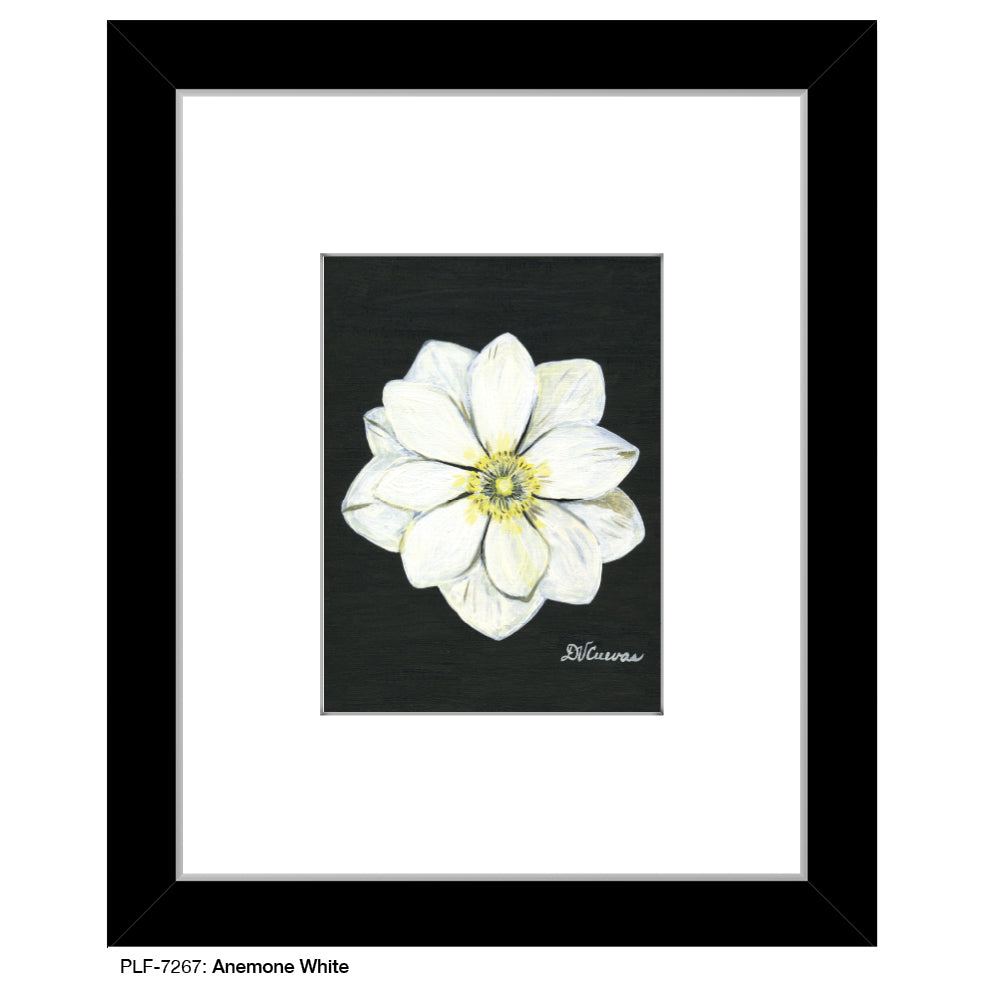 Anemone White, Print (#7267A)