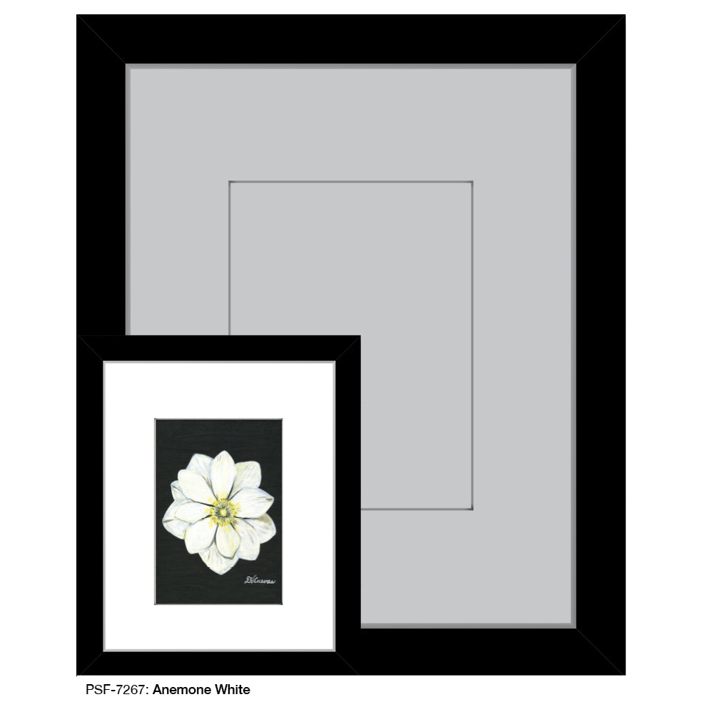Anemone White, Print (#7267A)