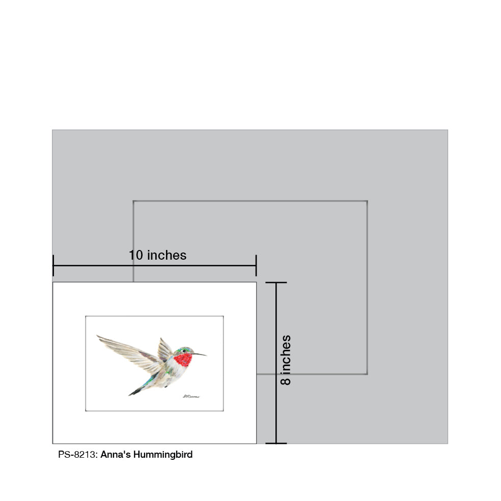 Anna's Hummingbird, Print (#8213A)