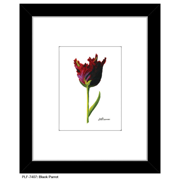 Black Parrot, Print (#7407A)