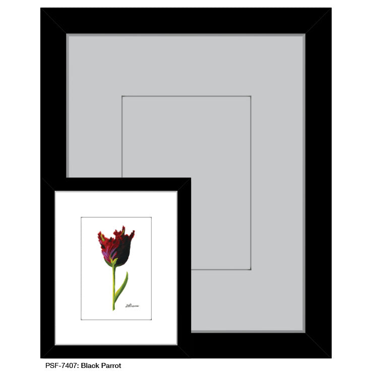 Black Parrot, Print (#7407A)