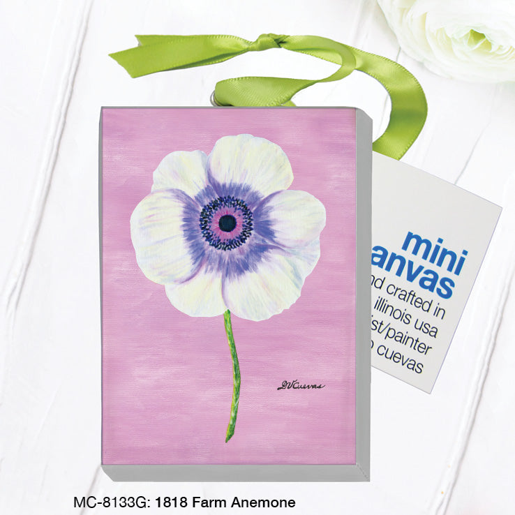 1818 Farm Anemone, Mini Canvas (MC-8133G)