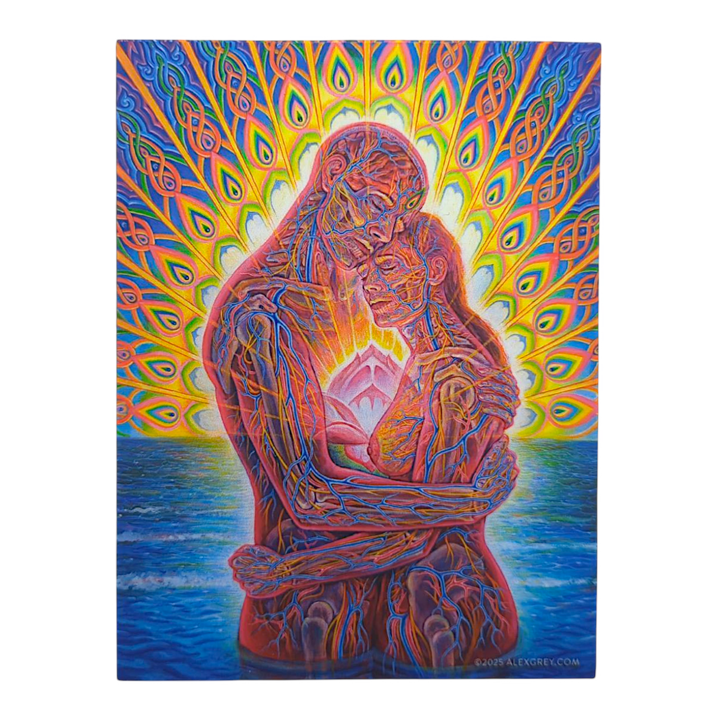 Alex Grey Ocean of Love Bliss Sticker