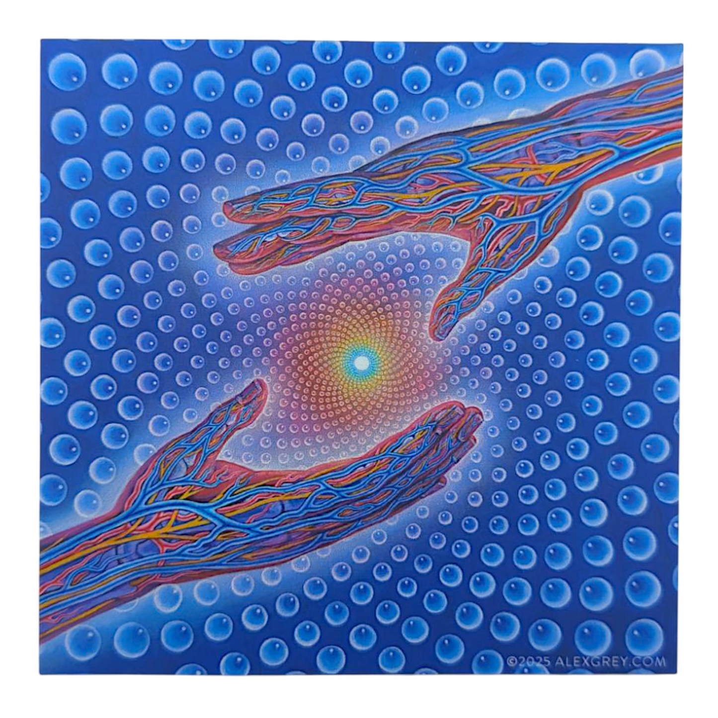 Alex Grey Psychedelic Healing Sticker
