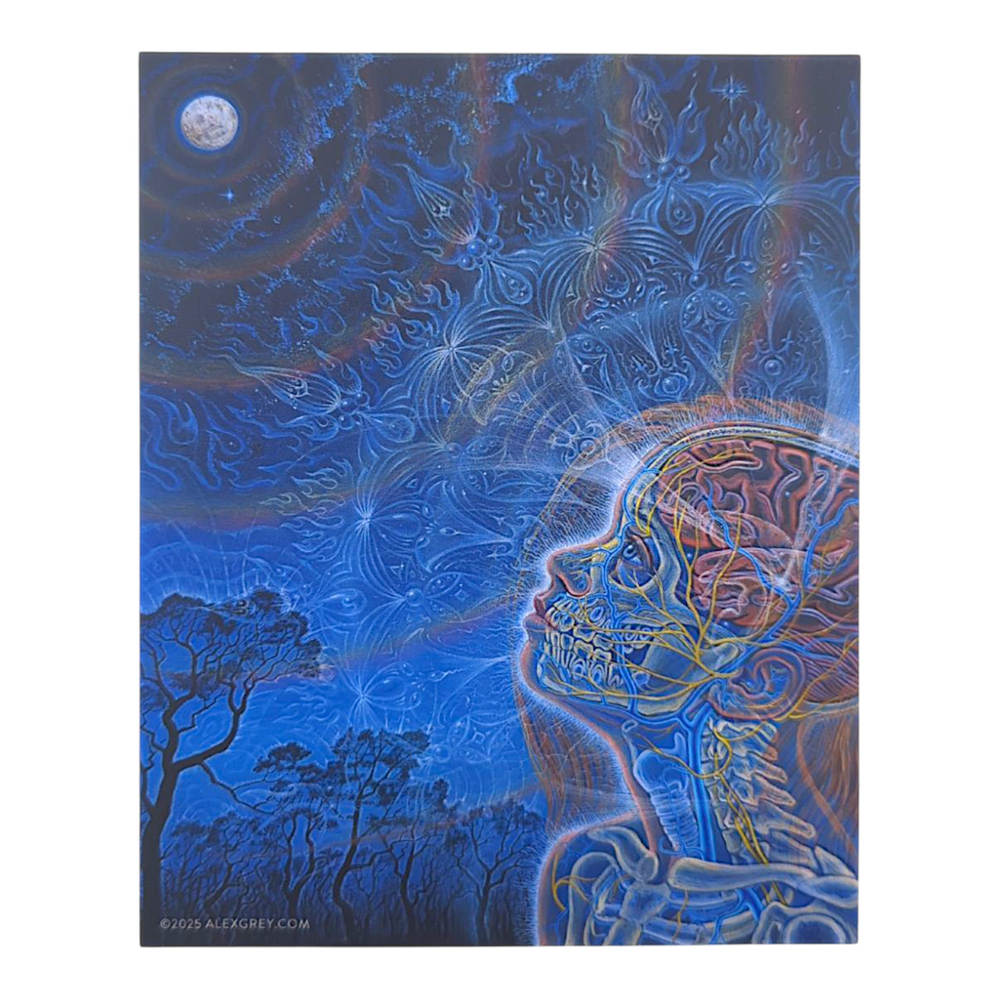 Alex Grey Wonder Sticker