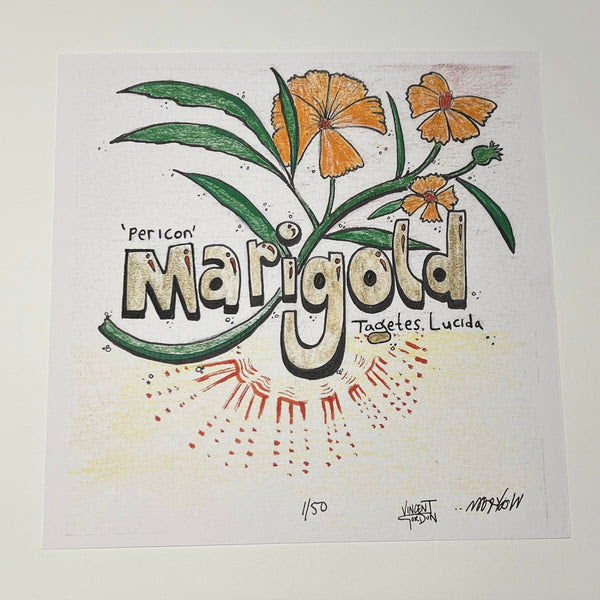 Wookerson x Vincent Gordon "Marigold" Print