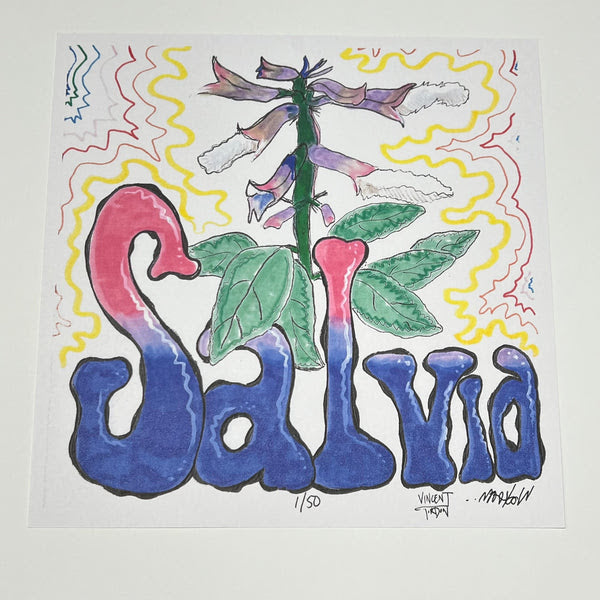 Wookerson x Vincent Gordon "Salvia" Print
