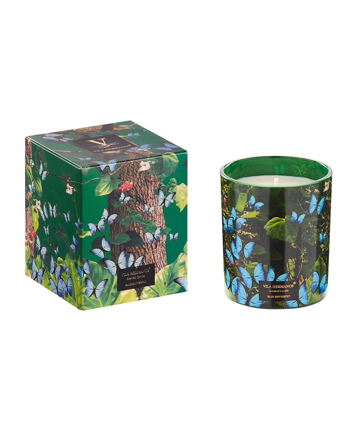 Candle in Jar JUNGLETOPIA  200gr - Arte House