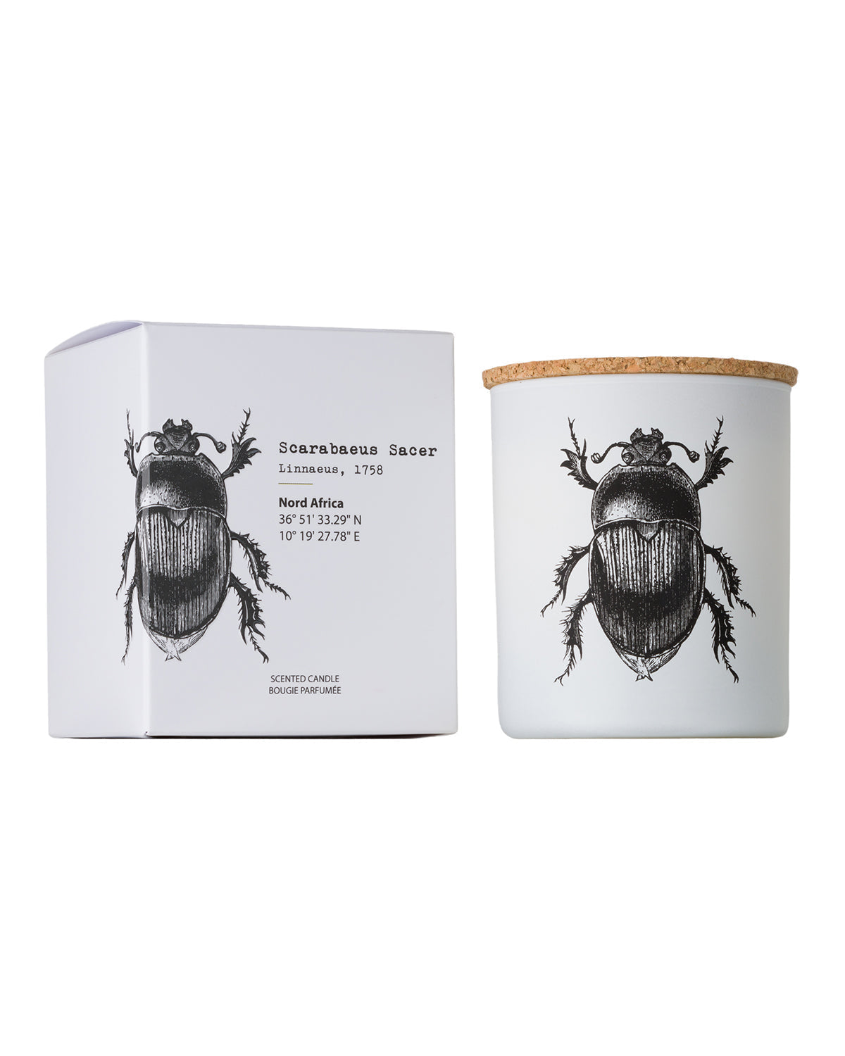 Candle in Jar INSECT  Wood Wick 190gr - Arte House