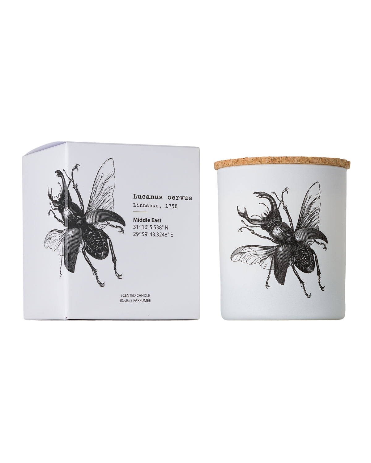 Candle in Jar INSECT  Wood Wick 190gr - Arte House