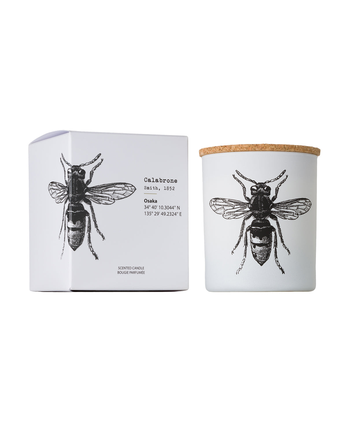 Candle in Jar INSECT  Wood Wick 190gr - Arte House