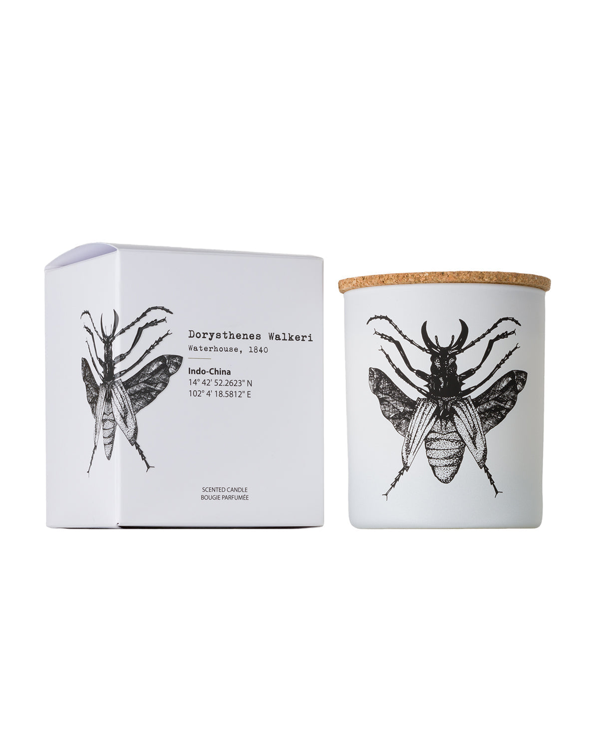 Candle in Jar INSECT  Wood Wick 190gr - Arte House