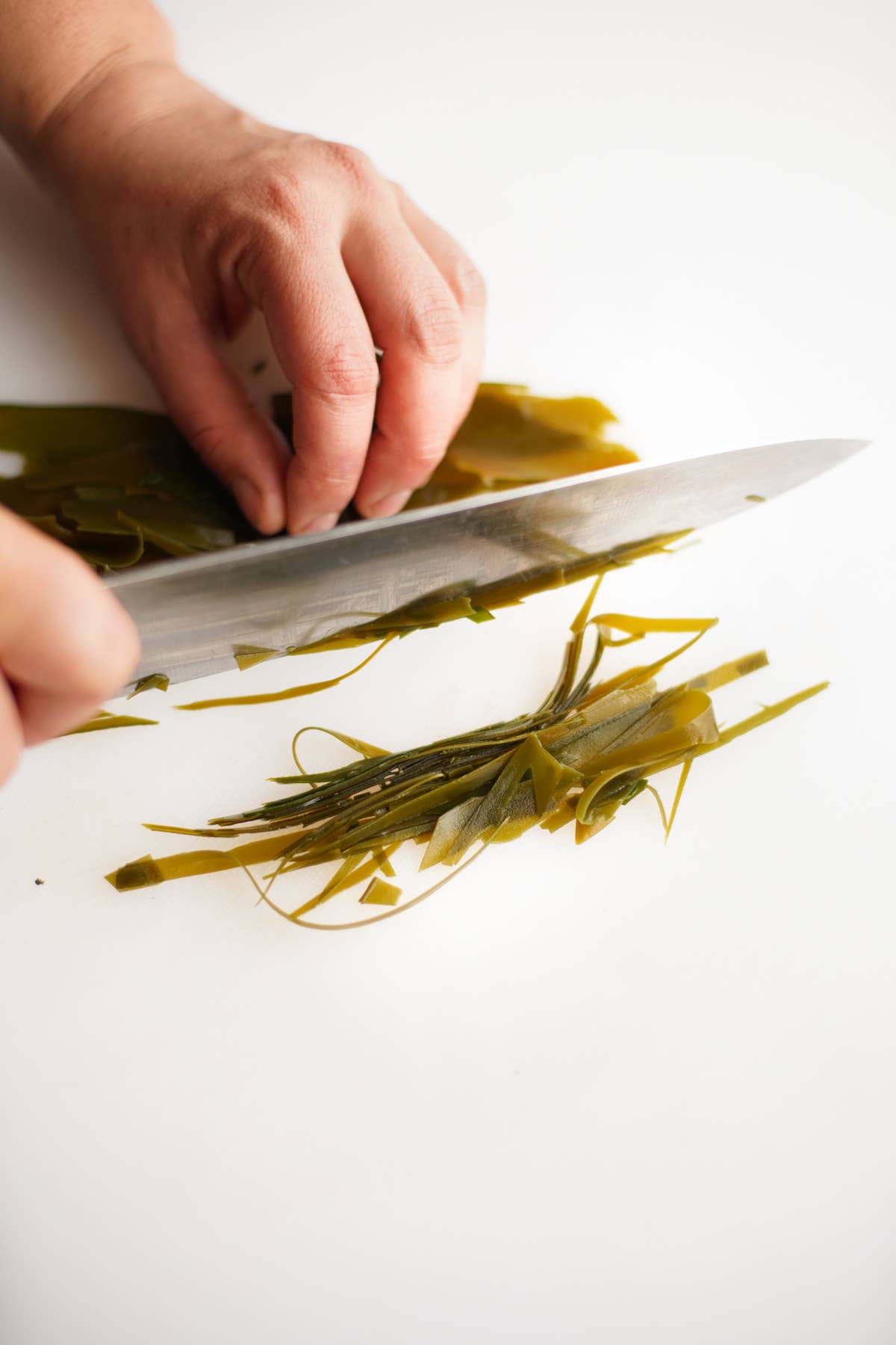 Wild Cobscook Digitata