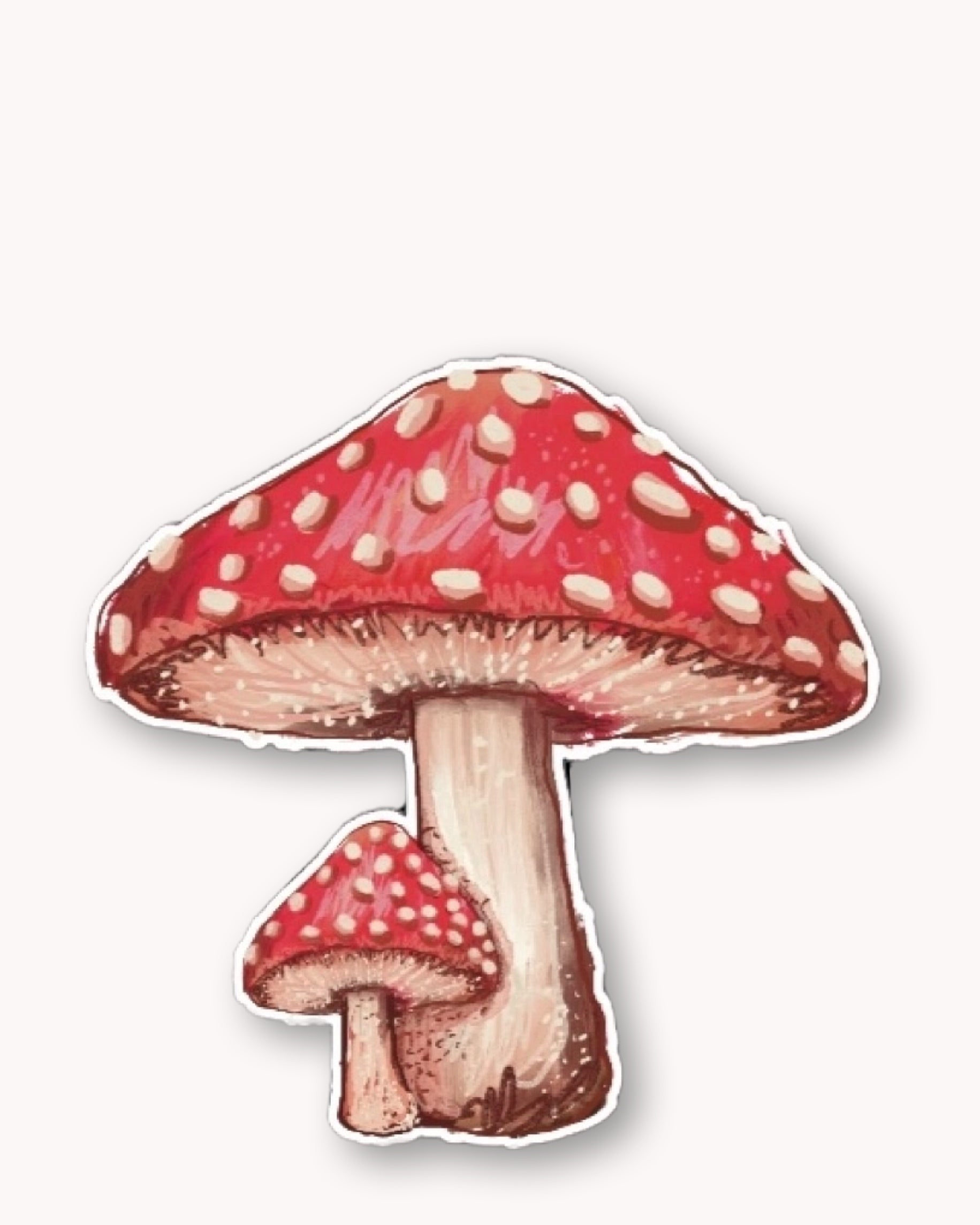 Red Cap Mushroom Sticker - Arte House