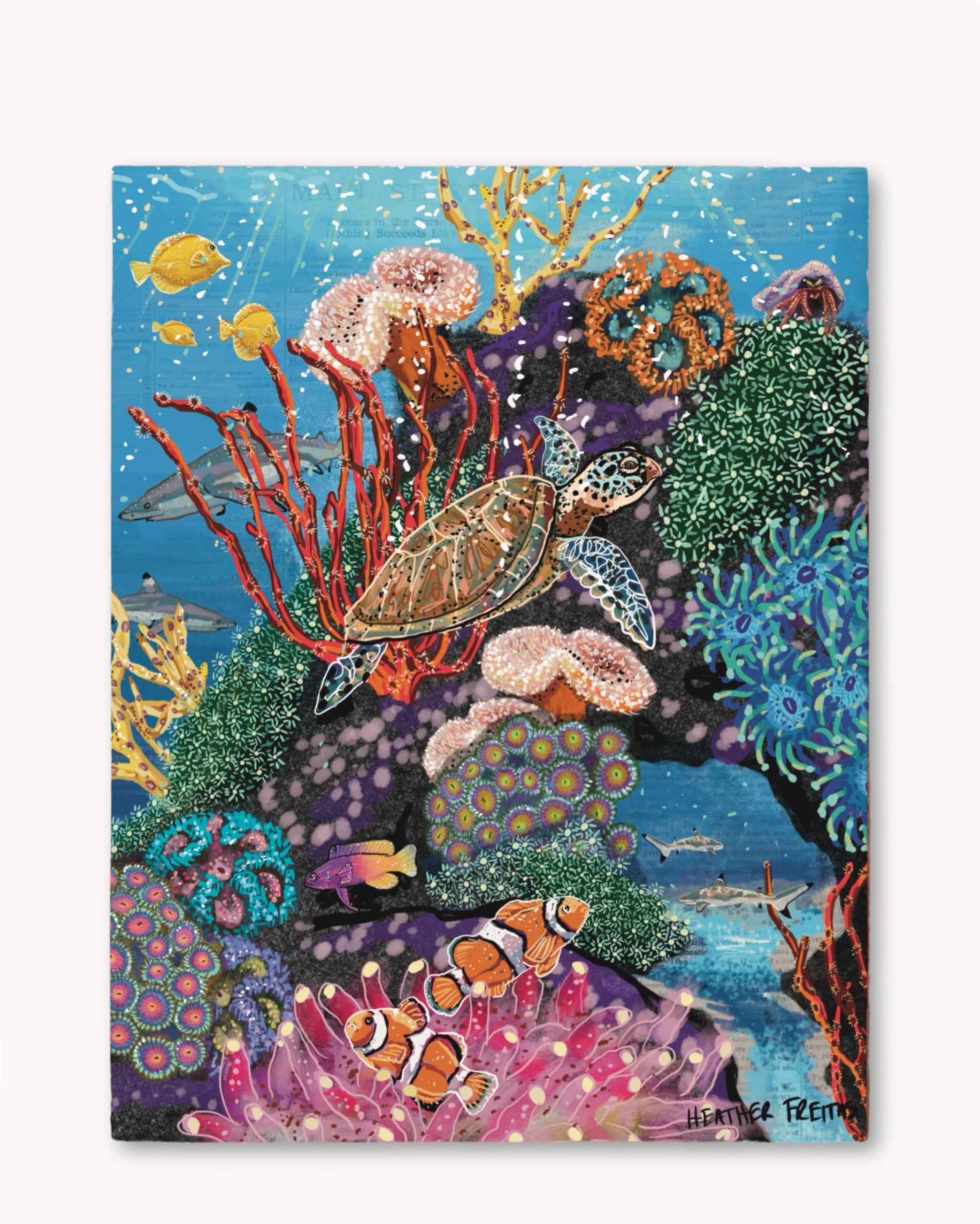 Candy Coral Reef Print