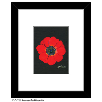 Anemone Red Close-Up, Print (#7269A)