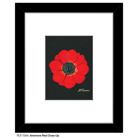 Anemone Red Close-Up, Print (#7269A)