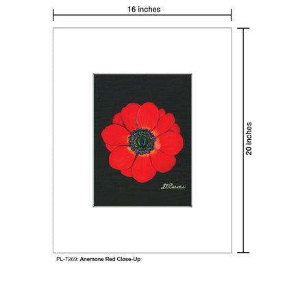 Anemone Red Close-Up, Print (#7269A)