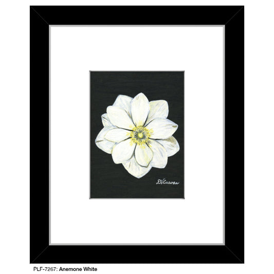 Anemone White, Print (#7267A)