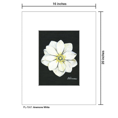 Anemone White, Print (#7267A)