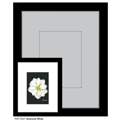 Anemone White, Print (#7267A)
