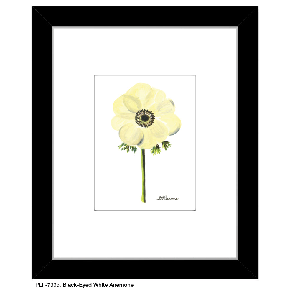 Black-Eyed White Anemone, Print (#7395D) - Arte House
