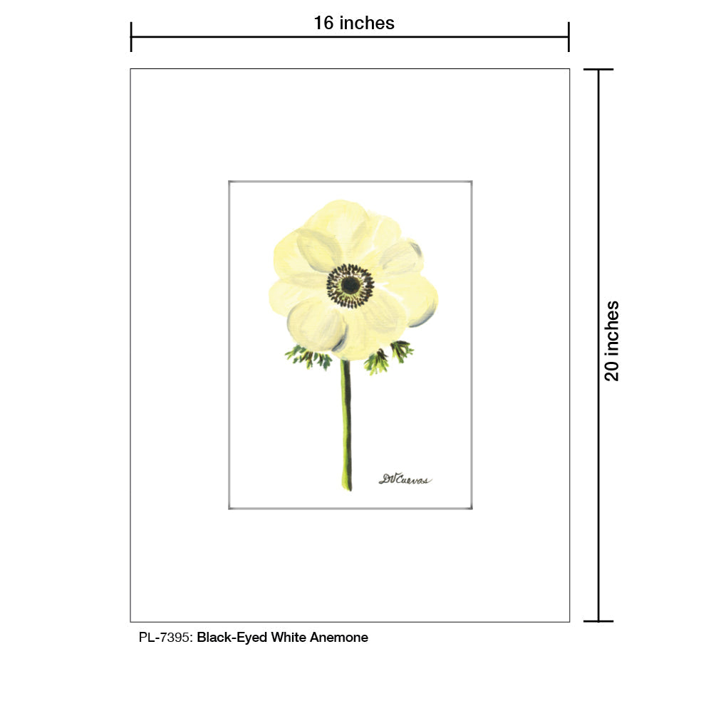 Black-Eyed White Anemone, Print (#7395D) - Arte House