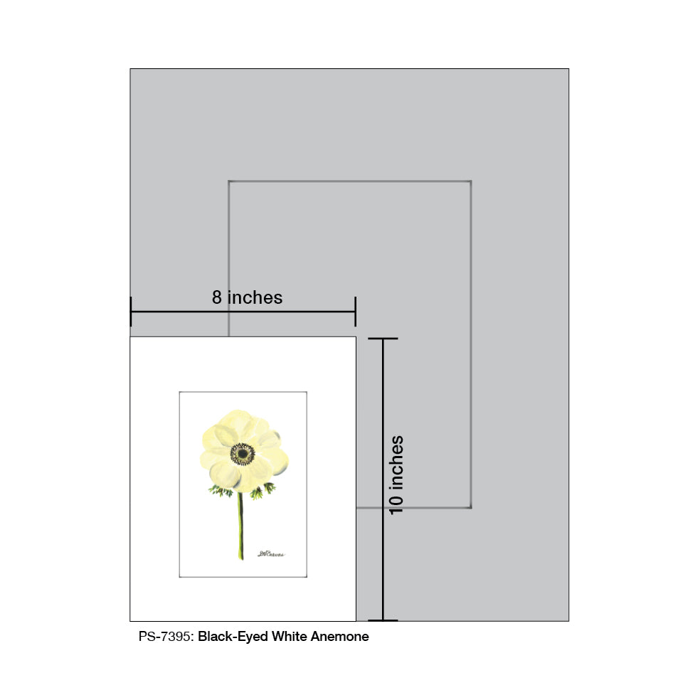 Black-Eyed White Anemone, Print (#7395D) - Arte House
