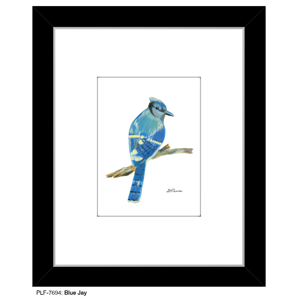 Blue Jay, Print (#7694F)