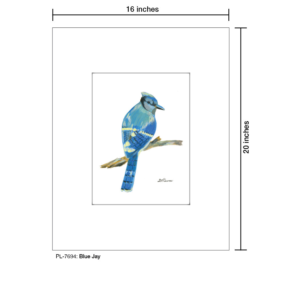 Blue Jay, Print (#7694F)