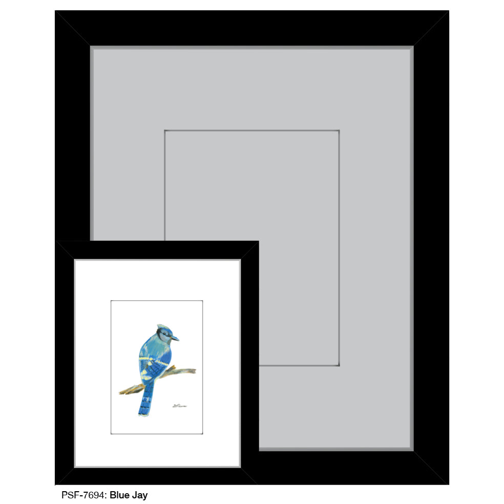 Blue Jay, Print (#7694F)