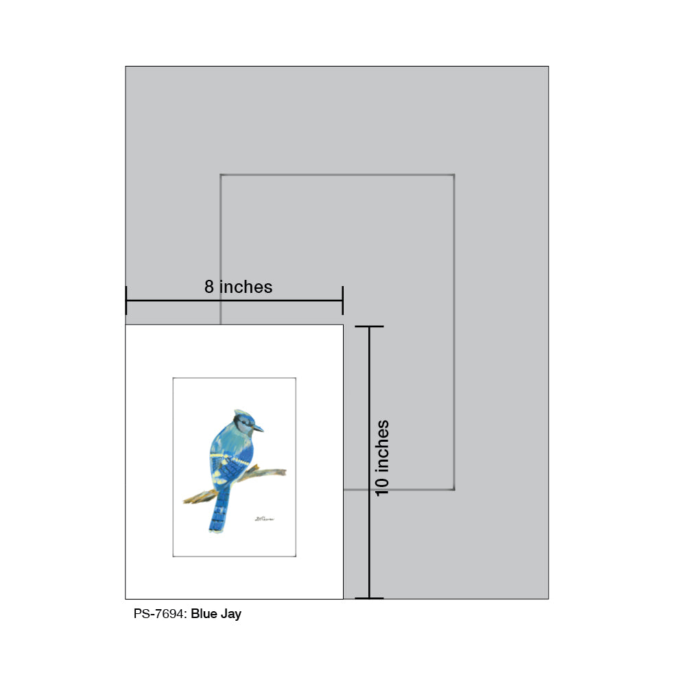 Blue Jay, Print (#7694F)