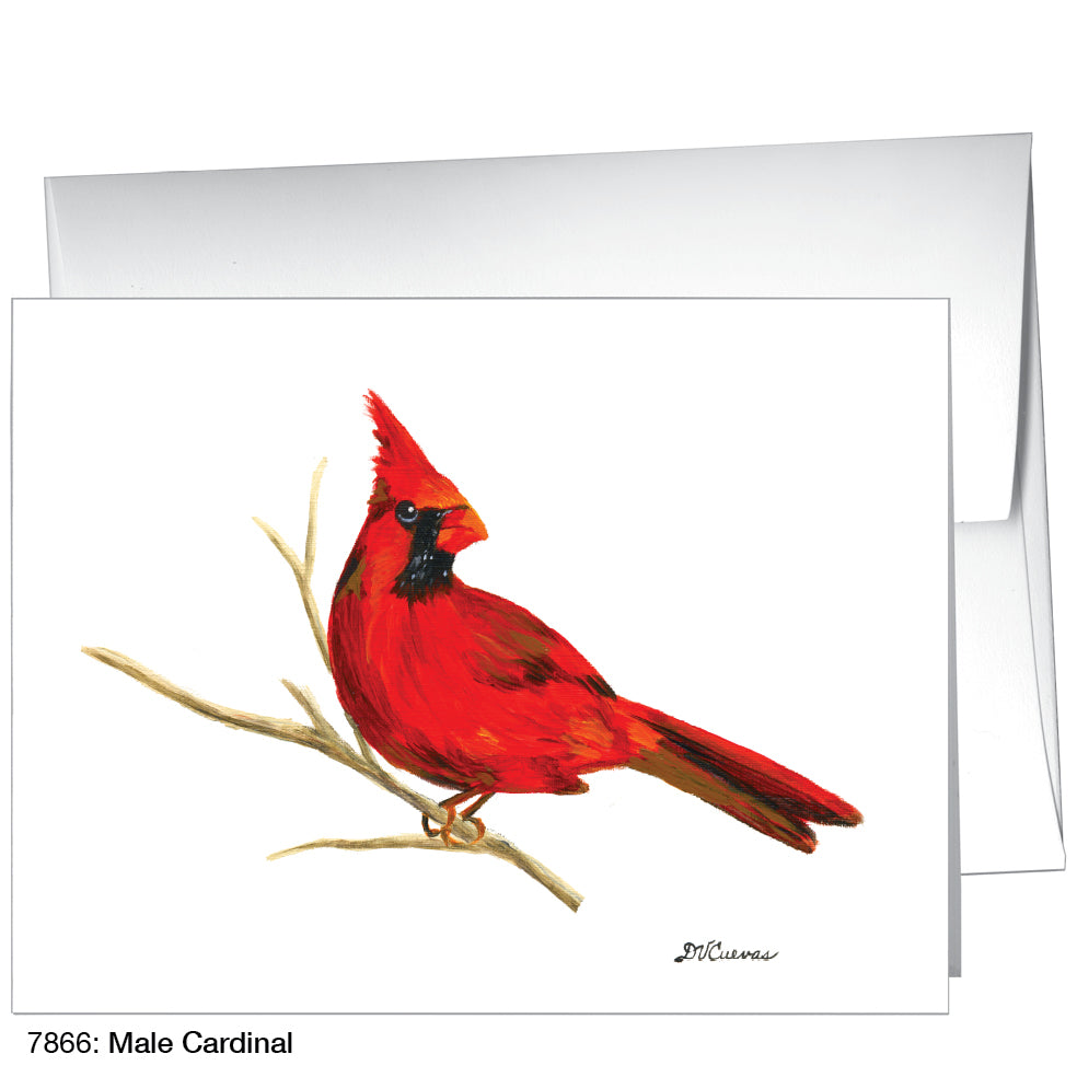 Male Cardinal, Greeting Card (7866H)