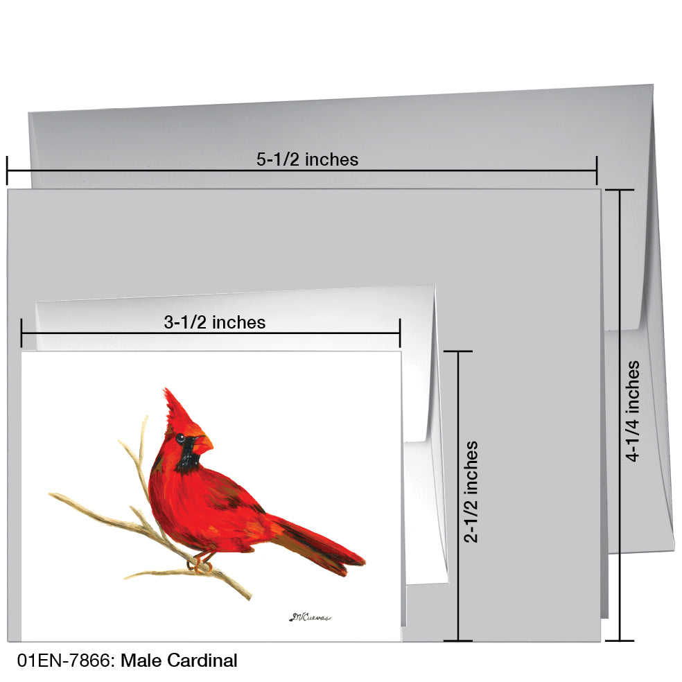 Male Cardinal, Greeting Card (7866H)