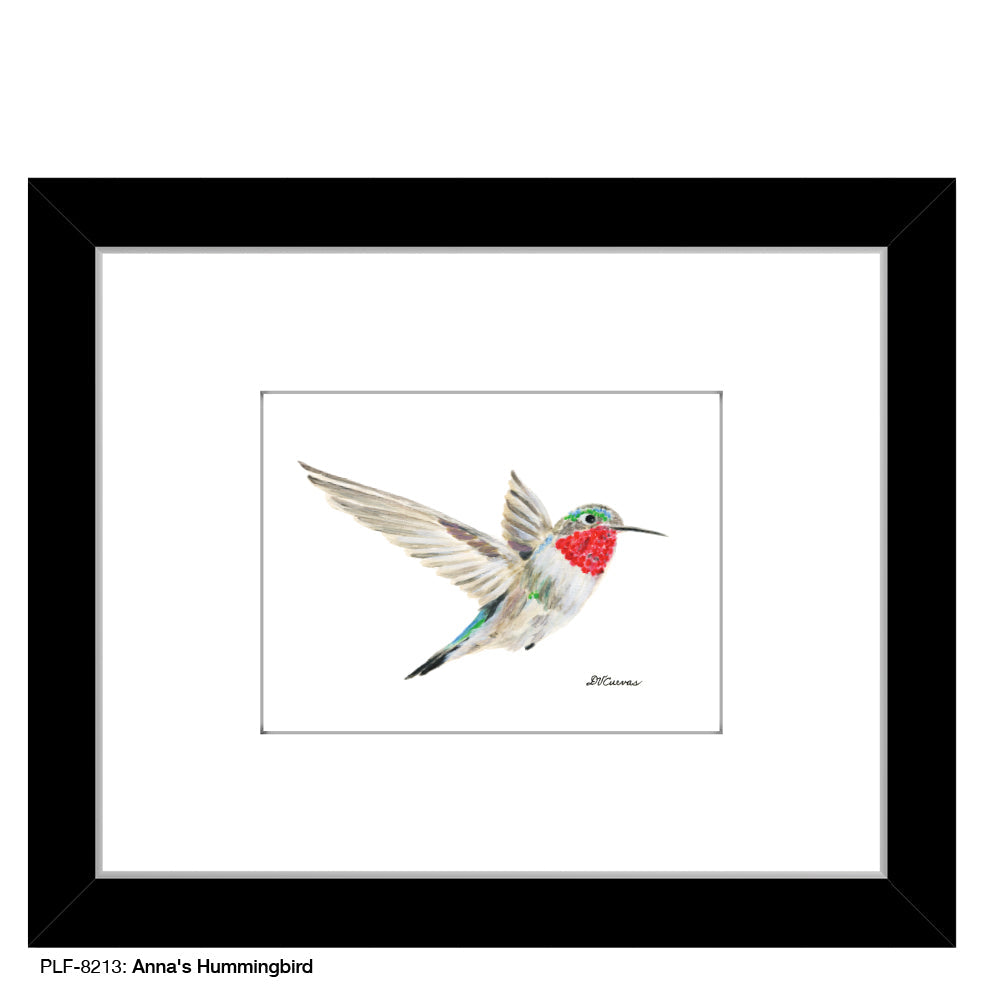 Anna's Hummingbird, Print (#8213A) - Arte House