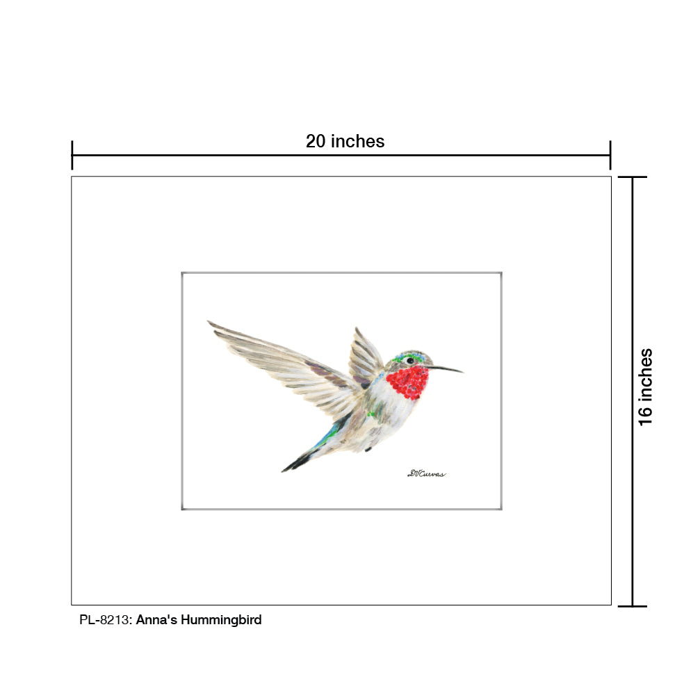 Anna's Hummingbird, Print (#8213A) - Arte House
