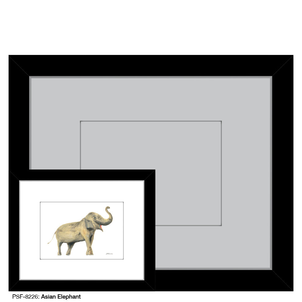 Asian Elephant, Print (#8226A)