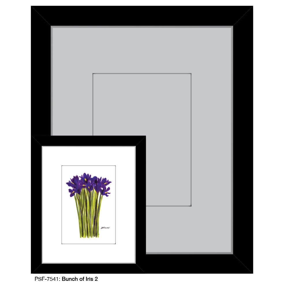 Bunch of Iris 2, Print (#7541A)