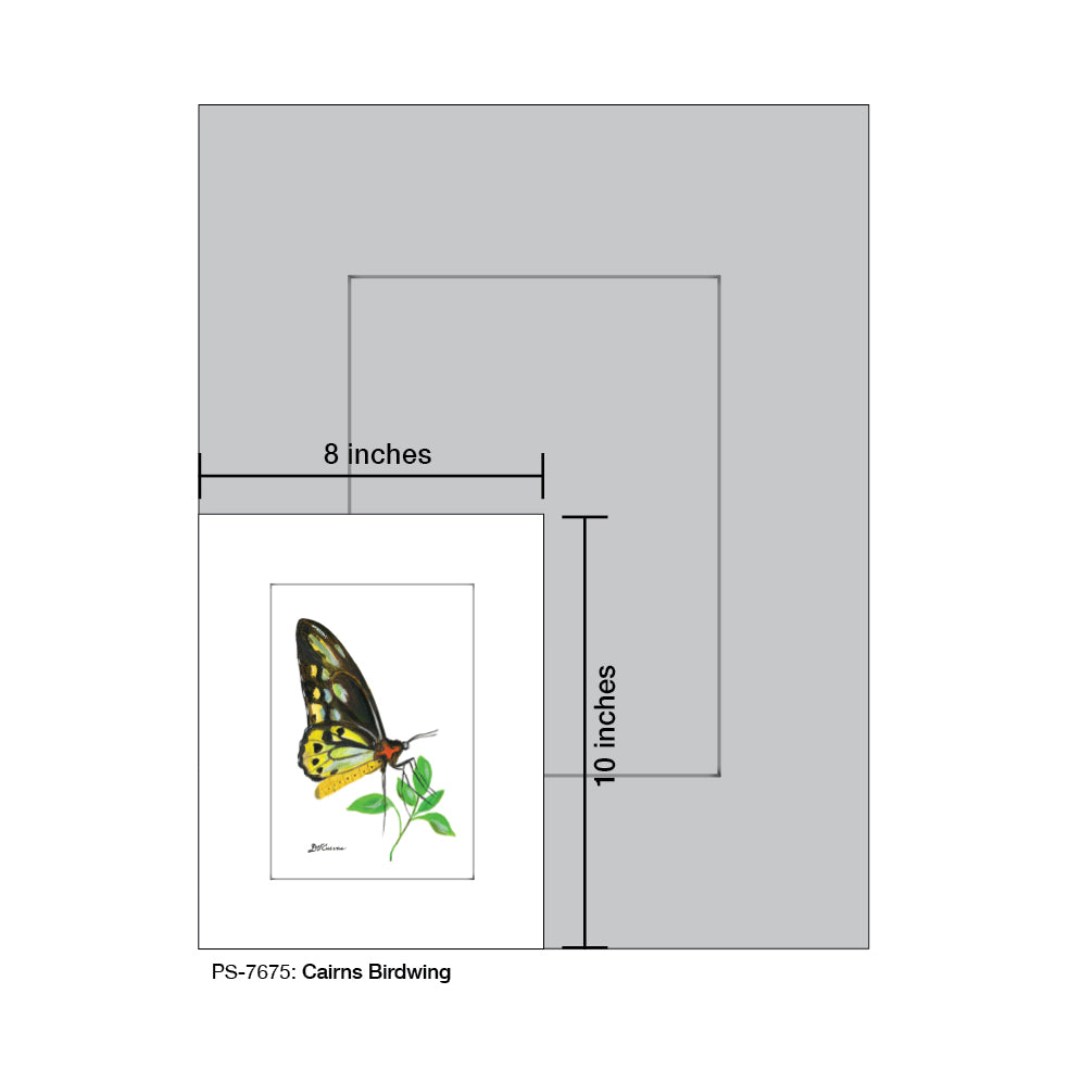 Cairns Birdwing, Print (#7675E) - Arte House