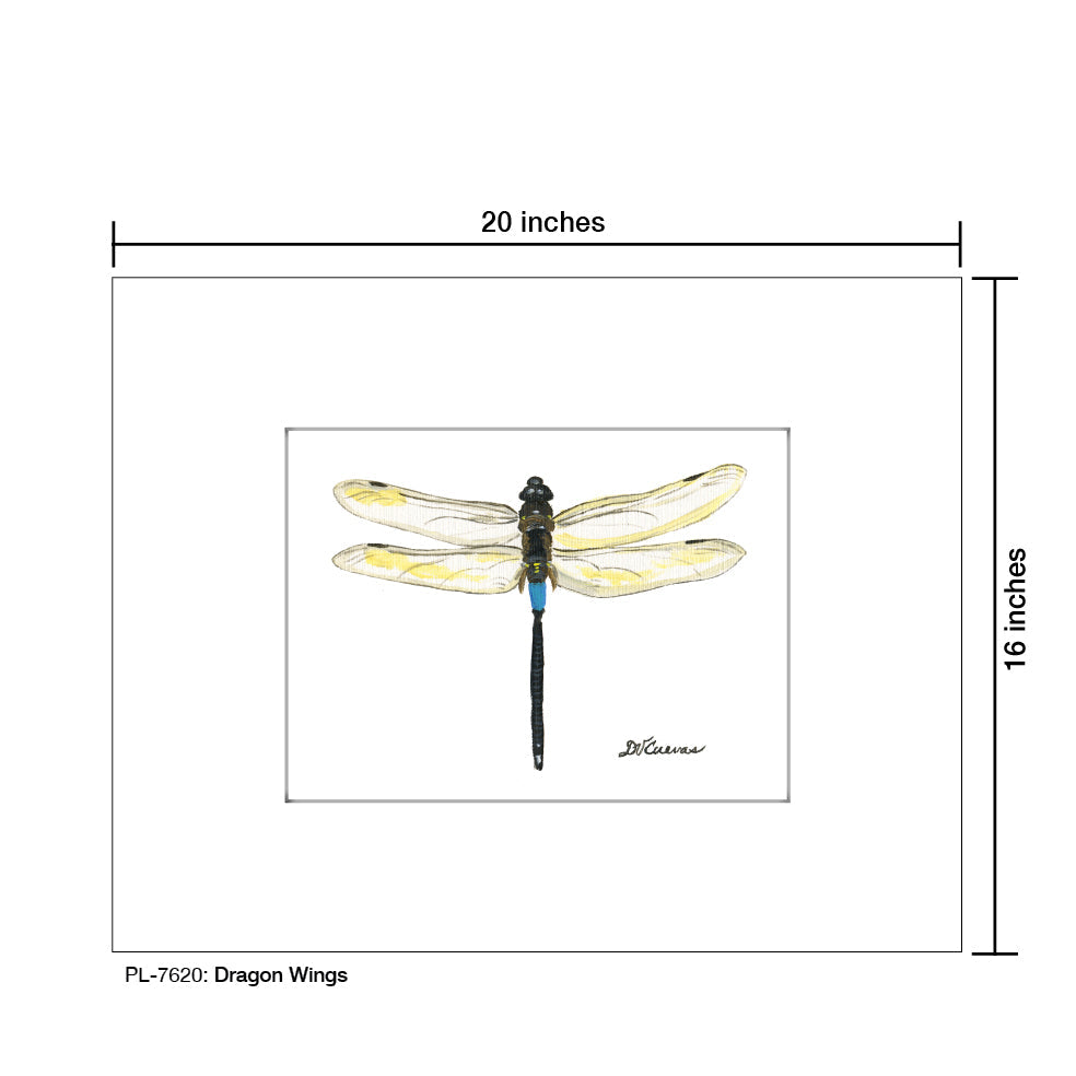 Dragon Wings, Print (#7620C)