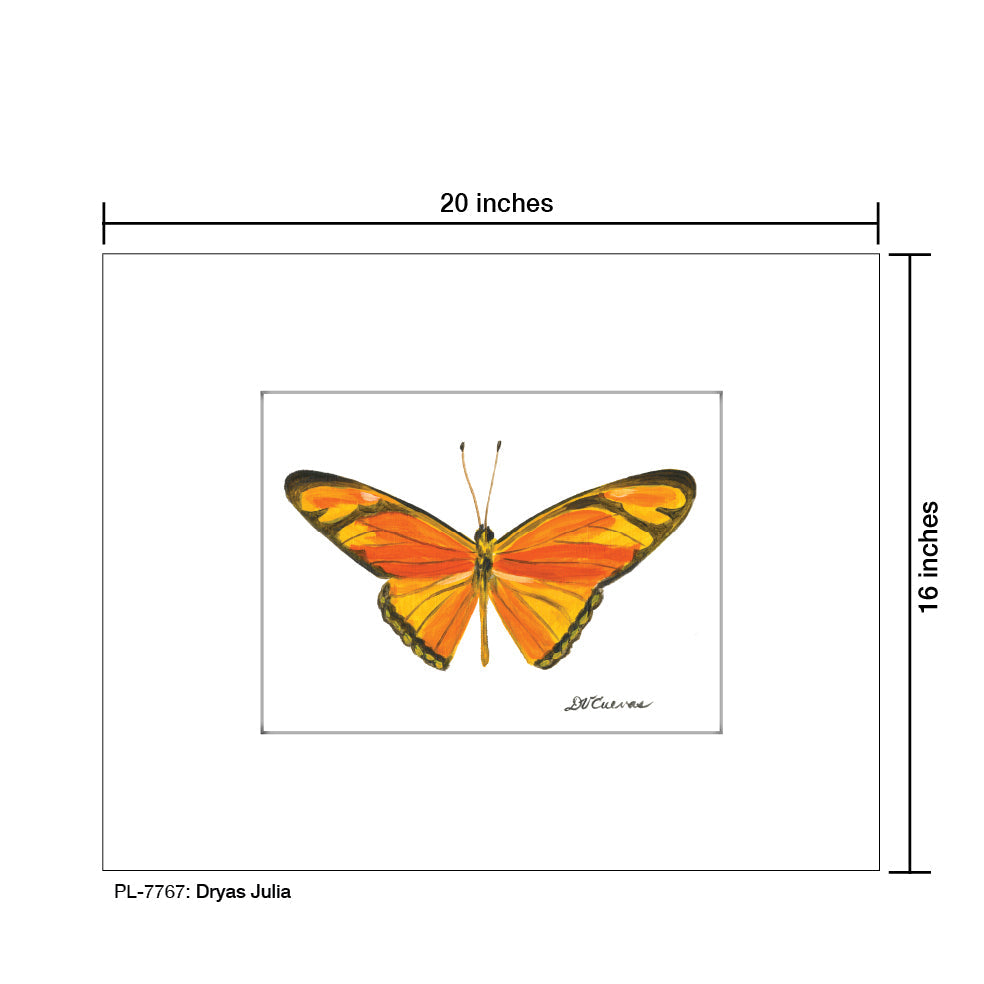 Dryas Julia, Print (#7767B) - Arte House