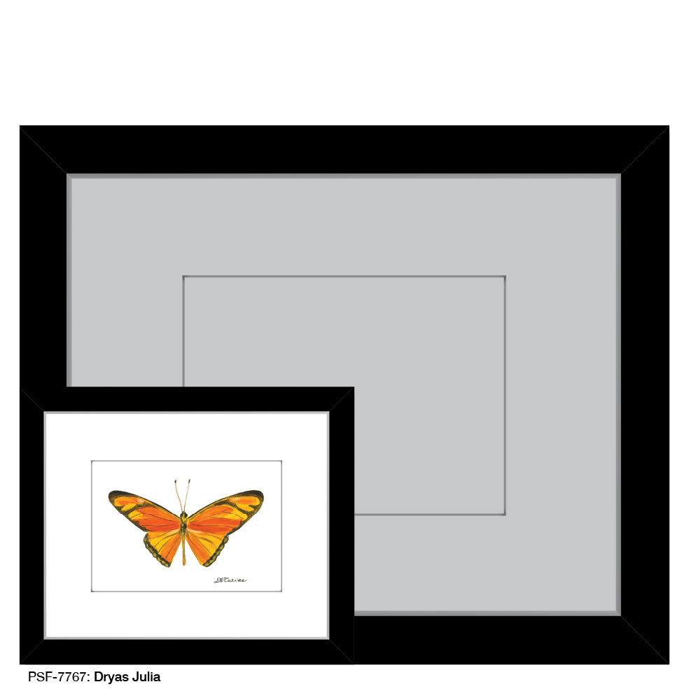 Dryas Julia, Print (#7767B) - Arte House