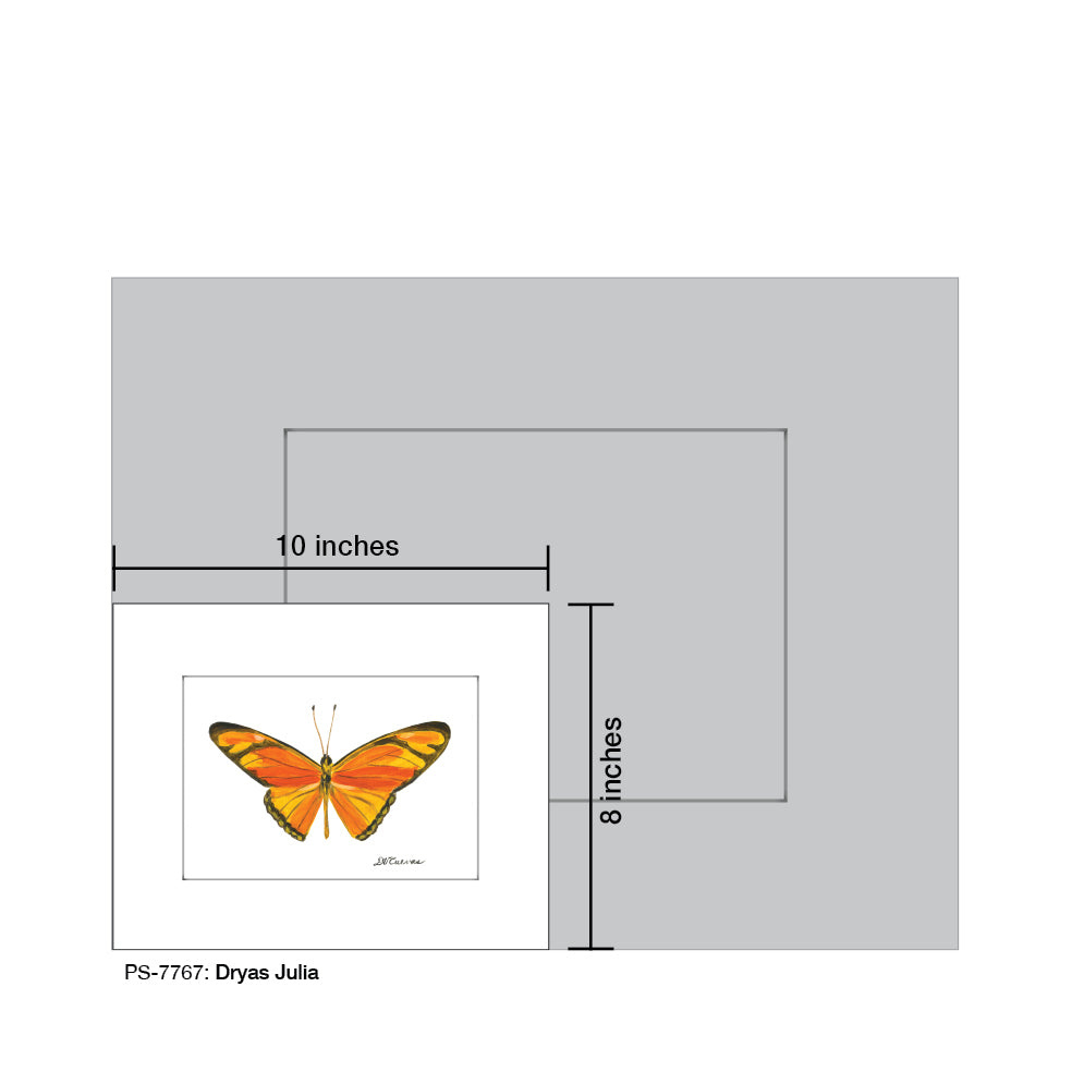 Dryas Julia, Print (#7767B) - Arte House