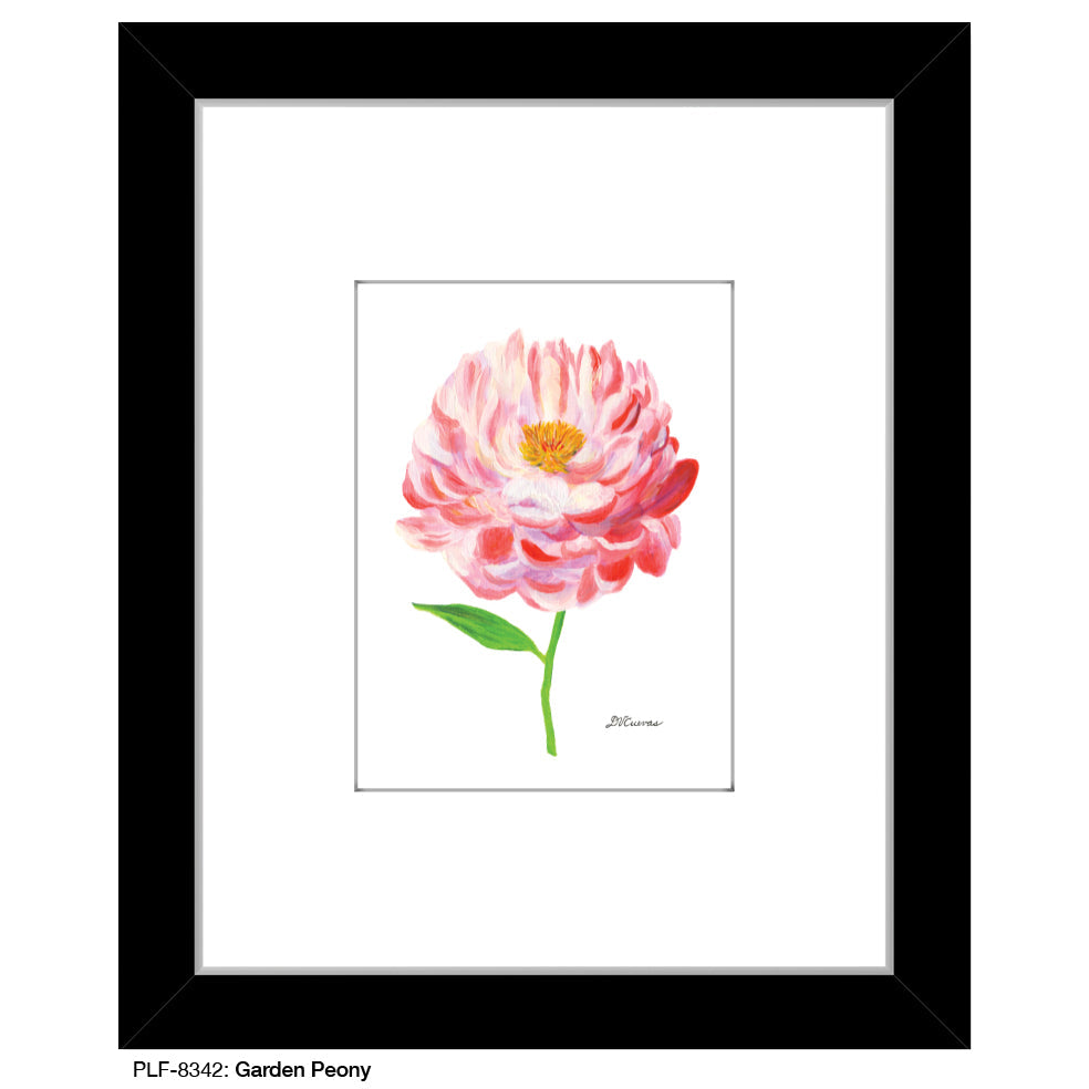 Garden Peony, Print (#8342B) - Arte House