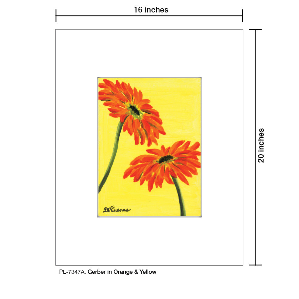 Gerber in Orange & Yellow, Print (#7347A) - Arte House
