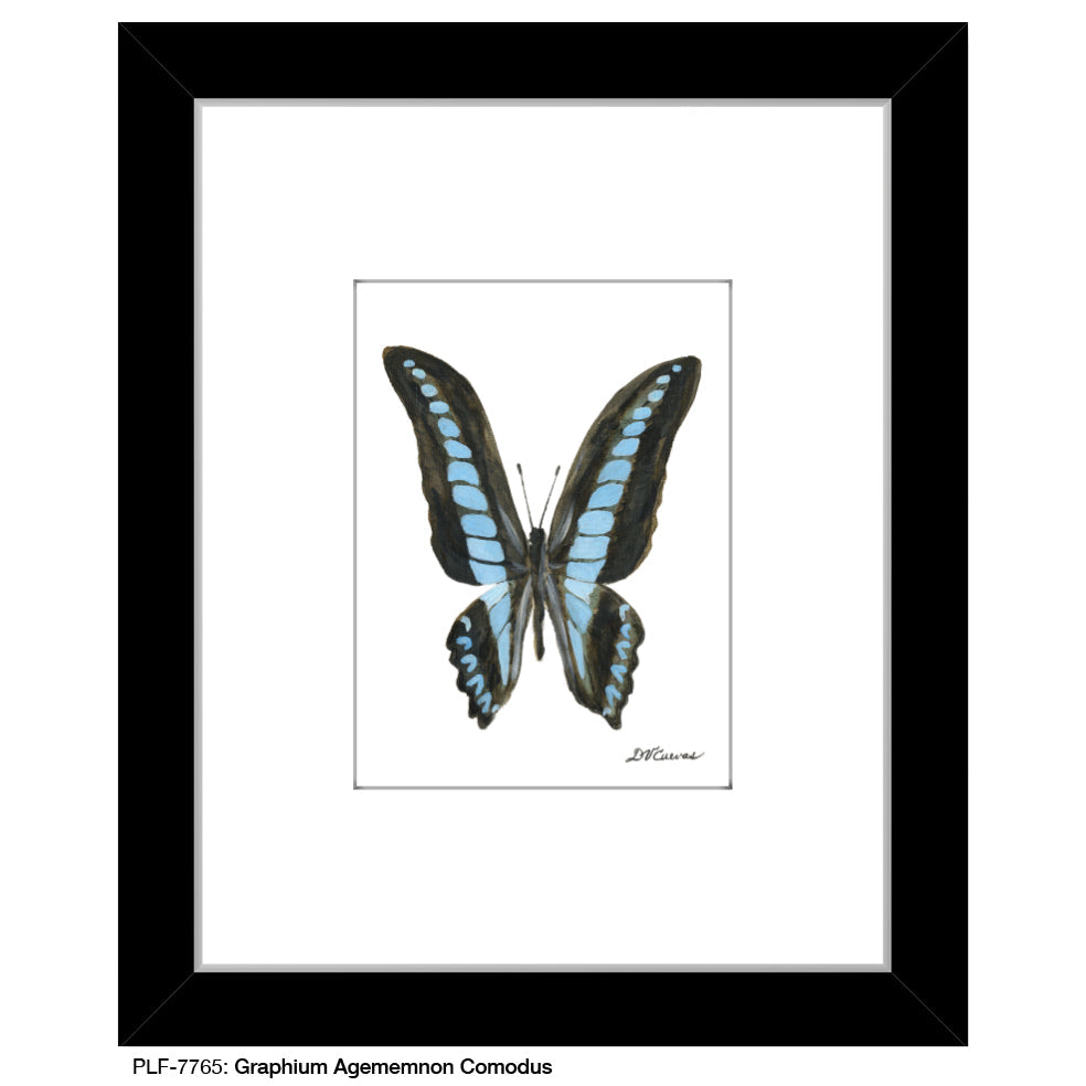 Graphium Agememnon Comodus, Print (#7765A) - Arte House
